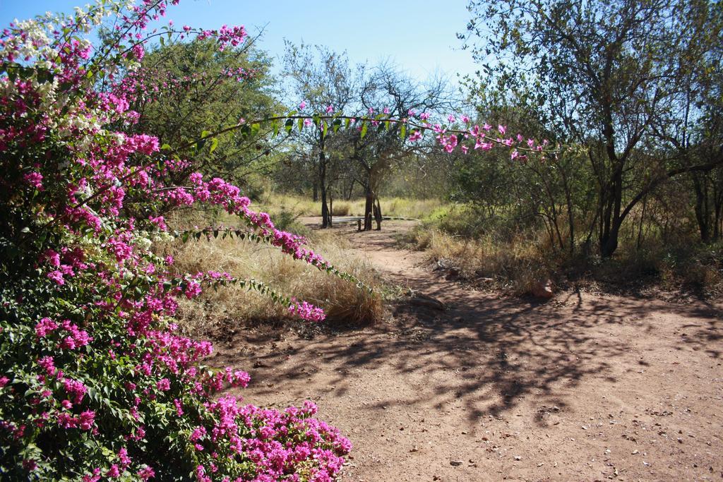 Normann Safari Bush Lodge Phalaborwa Exterior photo